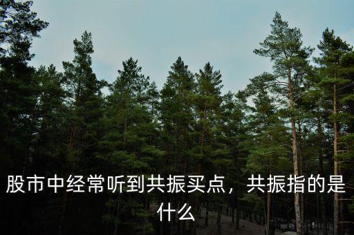股市中經(jīng)常聽到共振買點(diǎn)，共振指的是什么