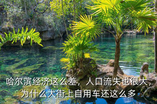 哈爾濱經(jīng)濟這么差，人口流失也很大，為什么大街上自用車還這么多