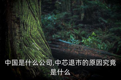 恒芯中國(guó)是什么公司,中芯退市的原因究竟是什么