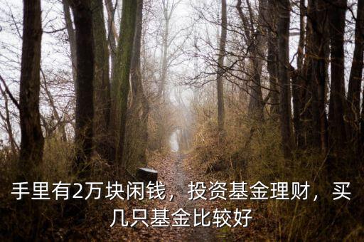手里有2萬(wàn)塊閑錢，投資基金理財(cái)，買幾只基金比較好