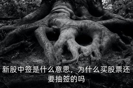 新股中簽是什么意思，為什么買股票還要抽簽的嗎