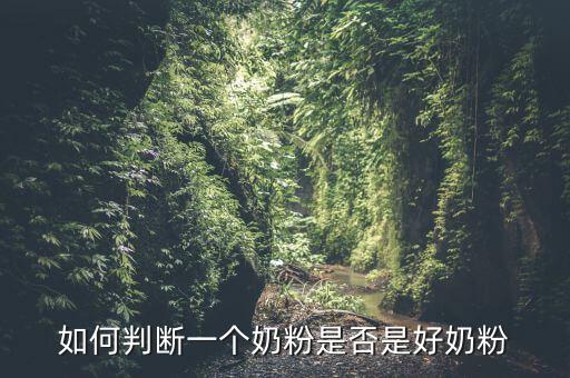 什么奶粉檢驗最嚴(yán)格,什么奶粉最好最安全
