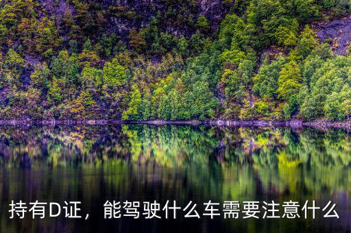 持有D證，能駕駛什么車需要注意什么