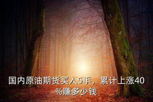 國內(nèi)原油期貨買入5手，累計上漲40%賺多少錢