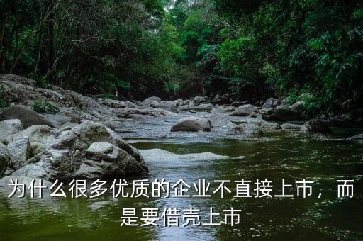 為什么很多優(yōu)質(zhì)的企業(yè)不直接上市，而是要借殼上市