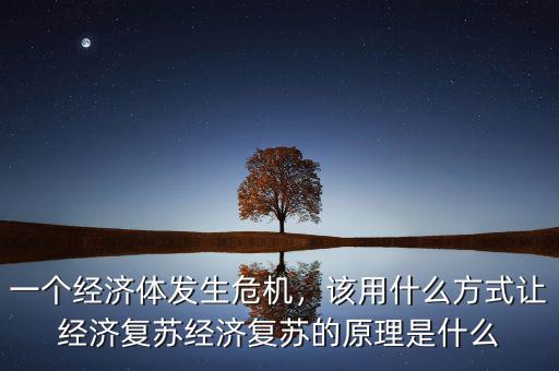 一個經(jīng)濟體發(fā)生危機，該用什么方式讓經(jīng)濟復蘇經(jīng)濟復蘇的原理是什么