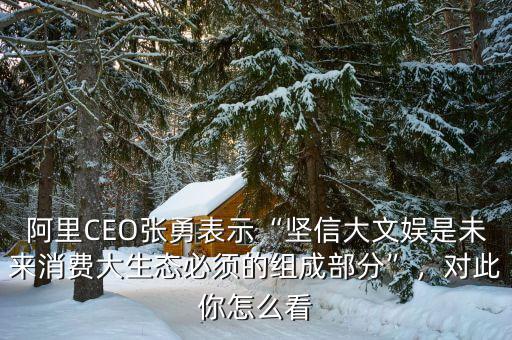 阿里CEO張勇表示“堅信大文娛是未來消費大生態(tài)必須的組成部分”，對此你怎么看