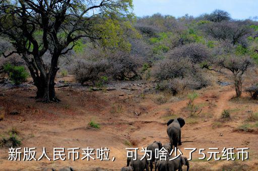 新版人民幣來啦，可為啥少了5元紙幣