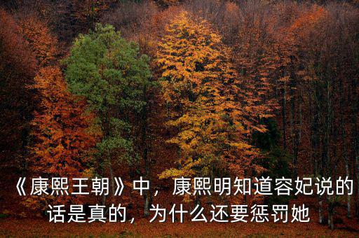 《康熙王朝》中，康熙明知道容妃說的話是真的，為什么還要懲罰她