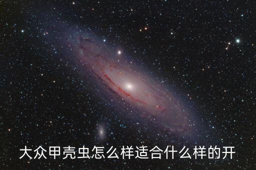 大眾甲殼蟲怎么樣適合什么樣的開(kāi)