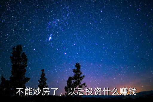 不能炒房了，以后投資什么賺錢