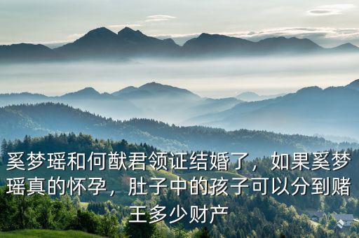 奚夢(mèng)瑤和何猷君領(lǐng)證結(jié)婚了，如果奚夢(mèng)瑤真的懷孕，肚子中的孩子可以分到賭王多少財(cái)產(chǎn)