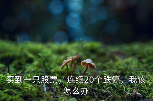 買到一只股票，連續(xù)20個跌停，我該怎么辦
