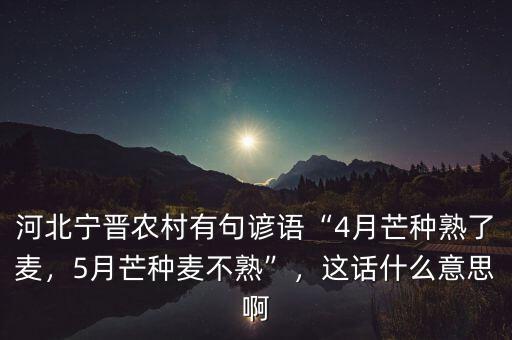 河北寧晉農(nóng)村有句諺語(yǔ)“4月芒種熟了麥，5月芒種麥不熟”，這話什么意思啊