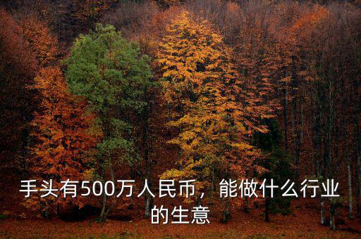 手頭有500萬人民幣，能做什么行業(yè)的生意