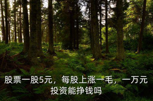 買每股多少元的股票最賺錢(qián),股票一股5元