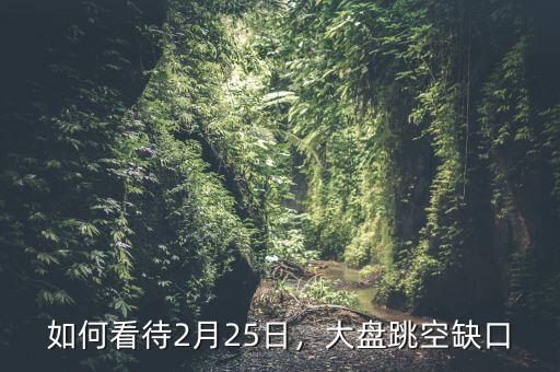 如何看待2月25日，大盤跳空缺口