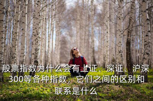 股票指數為什么會有上證、深證、滬深300等各種指數，它們之間的區(qū)別和聯系是什么