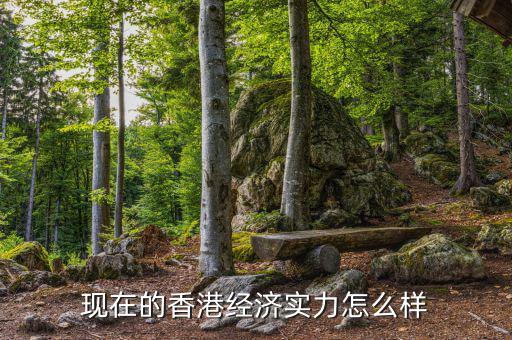 現(xiàn)在的香港經(jīng)濟(jì)實(shí)力怎么樣