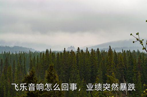 飛樂音響怎么回事，業(yè)績突然暴跌