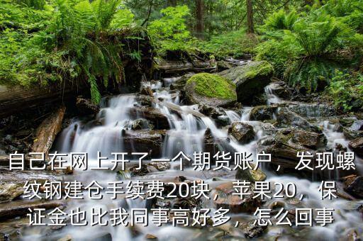 自己在網(wǎng)上開了一個期貨賬戶，發(fā)現(xiàn)螺紋鋼建倉手續(xù)費20塊，蘋果20，保證金也比我同事高好多，怎么回事