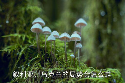 敘利亞、烏克蘭的局勢(shì)會(huì)怎么走