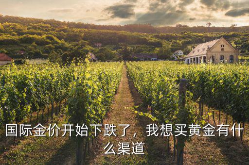 國際金價(jià)開始下跌了，我想買黃金有什么渠道