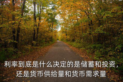 利率到底是什么決定的是儲蓄和投資，還是貨幣供給量和貨幣需求量