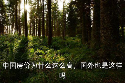 中國房價為什么這么高，國外也是這樣嗎