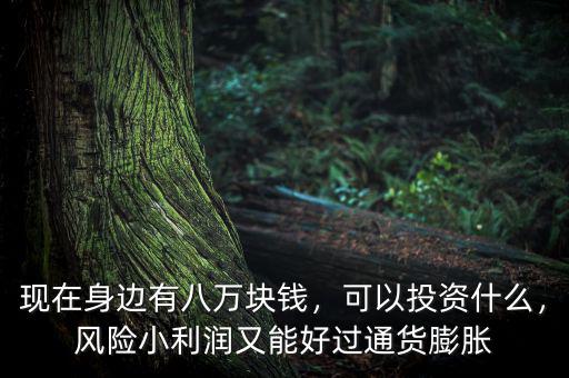現(xiàn)在身邊有八萬(wàn)塊錢(qián)，可以投資什么，風(fēng)險(xiǎn)小利潤(rùn)又能好過(guò)通貨膨脹