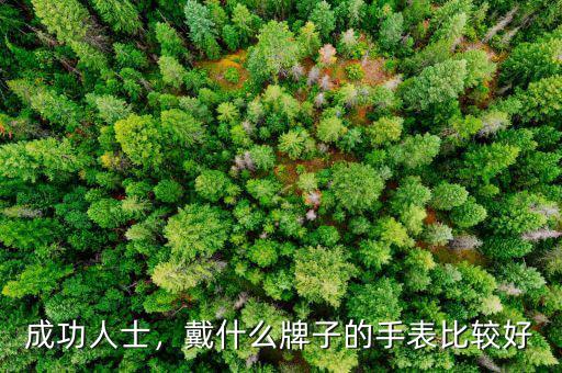 成功人士，戴什么牌子的手表比較好