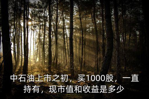 中石油上市之初，買(mǎi)1000股，一直持有，現(xiàn)市值和收益是多少