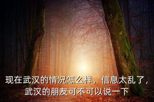 現(xiàn)在武漢的情況怎么樣，信息太亂了，武漢的朋友可不可以說一下