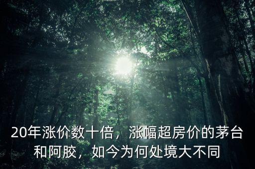 20年漲價數(shù)十倍，漲幅超房價的茅臺和阿膠，如今為何處境大不同