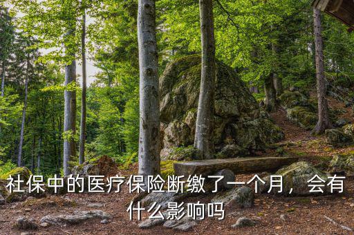 社保中的醫(yī)療保險(xiǎn)斷繳了一個(gè)月，會(huì)有什么影響嗎
