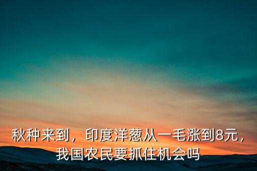 秋種來到，印度洋蔥從一毛漲到8元，我國農(nóng)民要抓住機會嗎