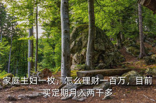 家庭主婦一枚，怎么理財(cái)一百萬(wàn)，目前買(mǎi)定期月入兩千多