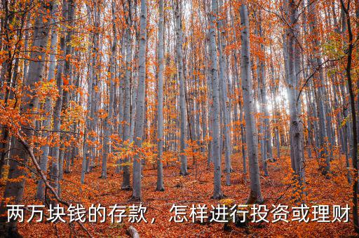 兩萬(wàn)塊錢(qián)的存款，怎樣進(jìn)行投資或理財(cái)