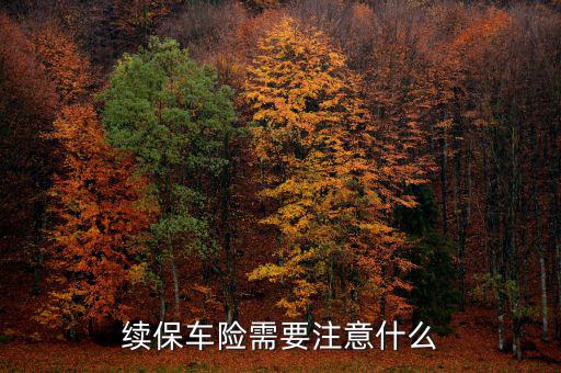 做車(chē)險(xiǎn)需要知道什么,續(xù)保車(chē)險(xiǎn)需要注意什么
