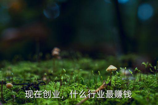 現(xiàn)在創(chuàng)業(yè)，什么行業(yè)最賺錢