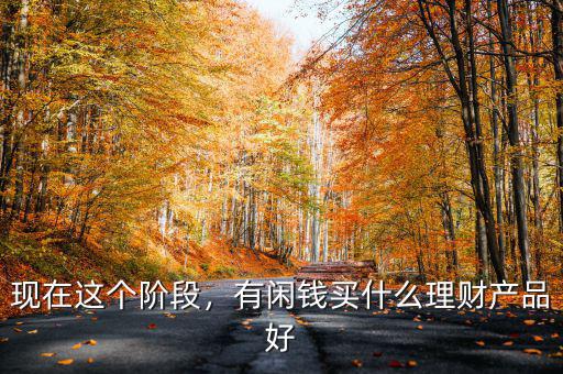現(xiàn)在這個(gè)階段，有閑錢買什么理財(cái)產(chǎn)品好