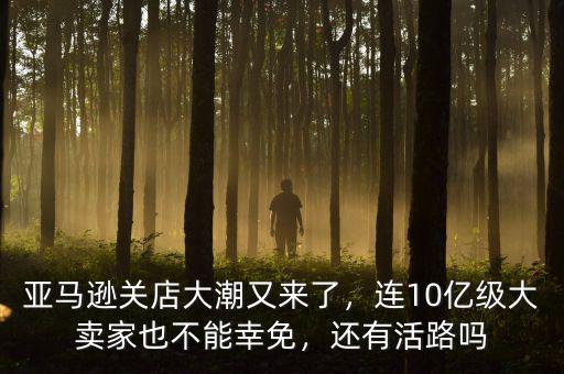 亞馬遜關(guān)店大潮又來了，連10億級(jí)大賣家也不能幸免，還有活路嗎