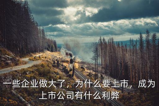 一些企業(yè)做大了，為什么要上市，成為上市公司有什么利弊