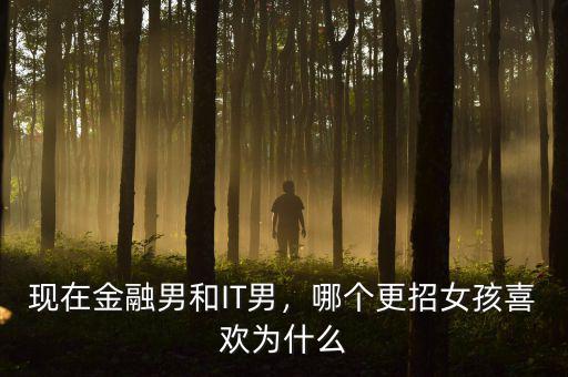 現(xiàn)在金融男和IT男，哪個更招女孩喜歡為什么