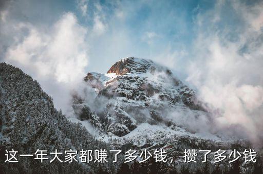 這一年大家都賺了多少錢，攢了多少錢