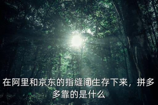 在阿里和京東的指縫間生存下來(lái)，拼多多靠的是什么