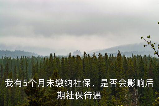 我有5個月未繳納社保，是否會影響后期社保待遇