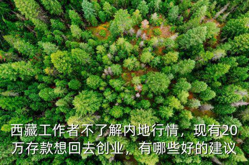 西藏工作者不了解內(nèi)地行情，現(xiàn)有20萬存款想回去創(chuàng)業(yè)，有哪些好的建議
