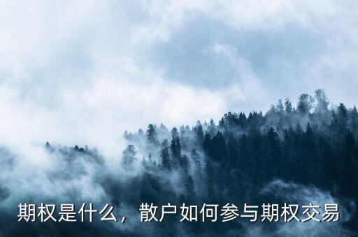 期權(quán)是什么，散戶如何參與期權(quán)交易