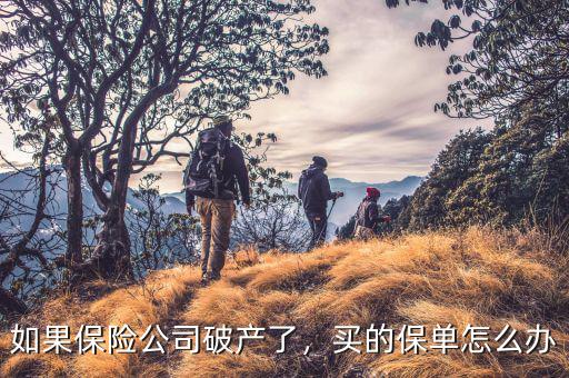 如果保險公司破產(chǎn)了，買的保單怎么辦